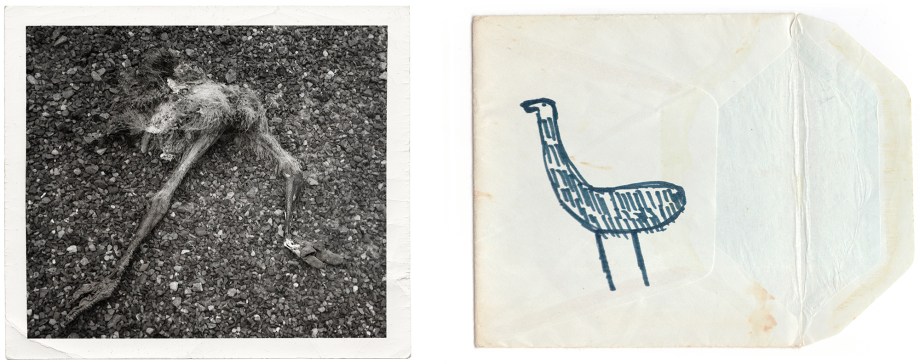 LS 19 imaginary emu copy