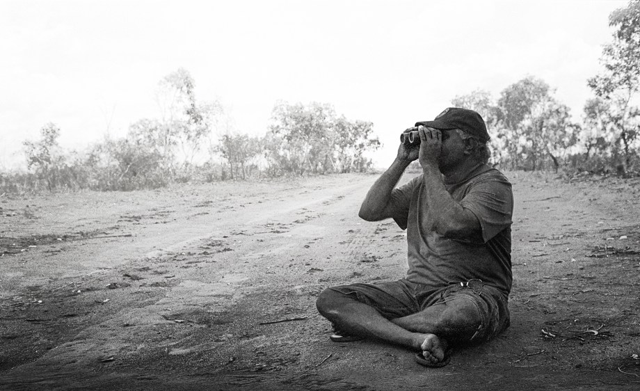 Wanta Jampijinpa Pawu-Kurlpurlurnu