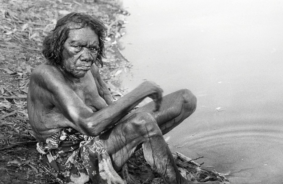 Lily at Catfish Waterhole