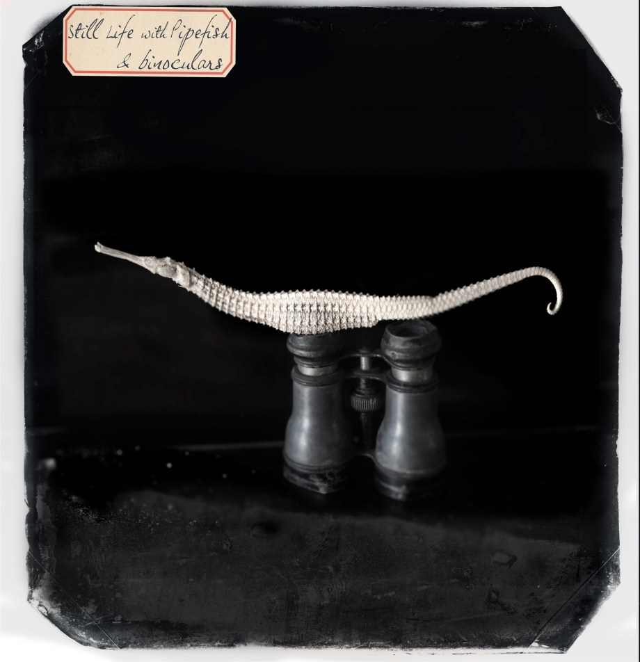 finished20130727_2769