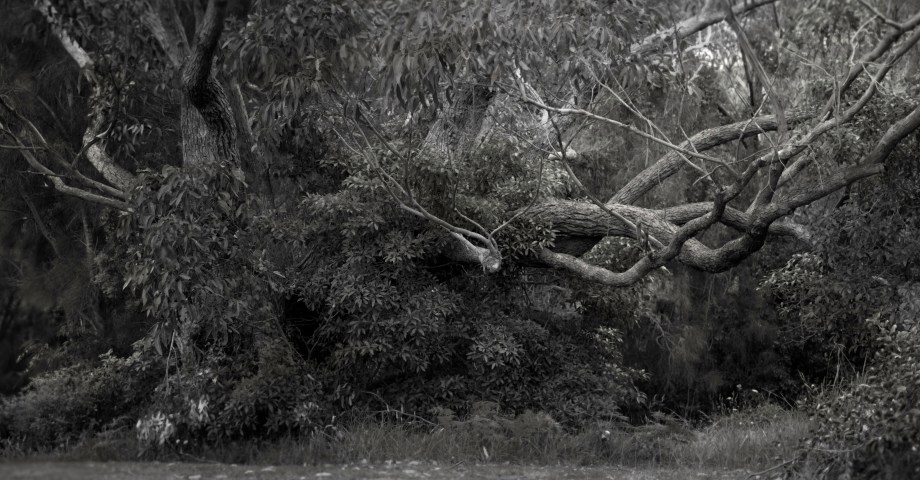 Sleep has her house (10)