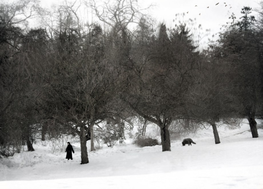 Sleep has her house (8)