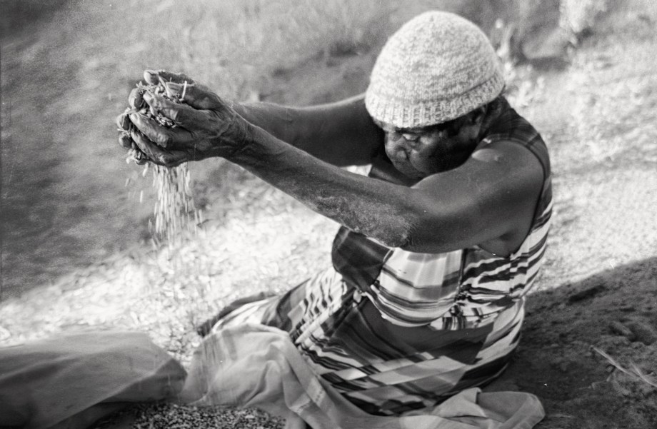 LS 51 Molly Napurrula Tasman