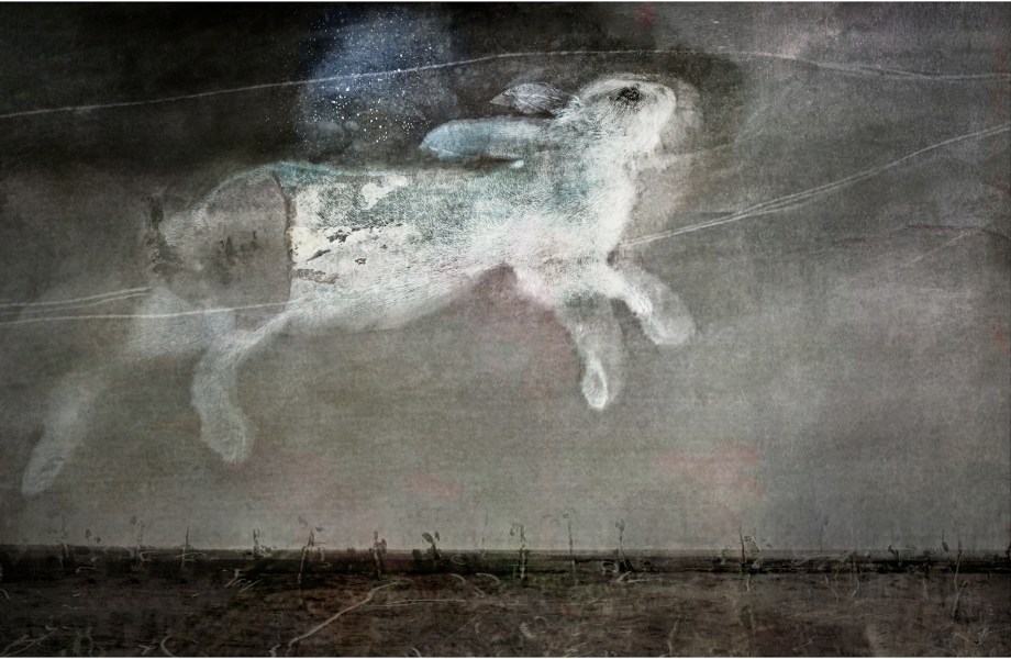 Peter Lapin, carrying the soul of Mirka Mora through the astral realm, and on, to new gardens of suns and miraculous birds