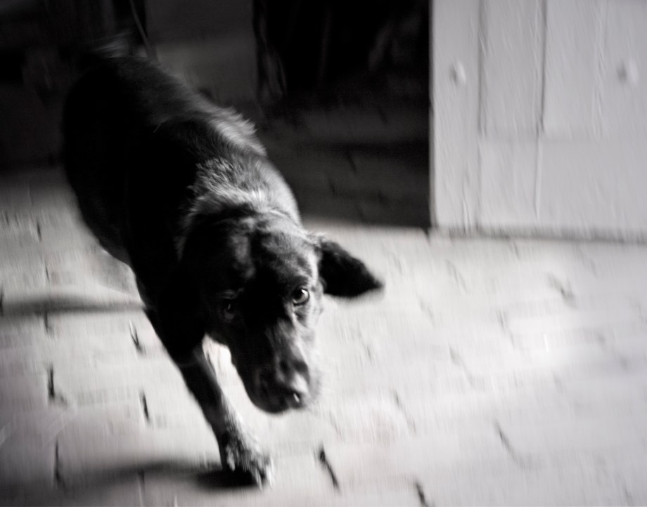 Sleep has her house (4)