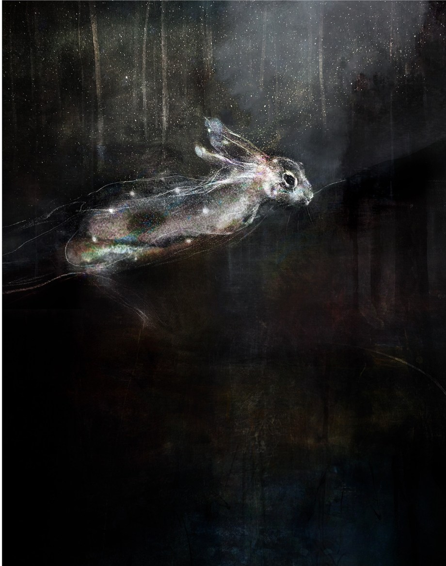 Jessica becoming stars, in the place of fireflies and river trees, last ceremony ground of the rex hares.