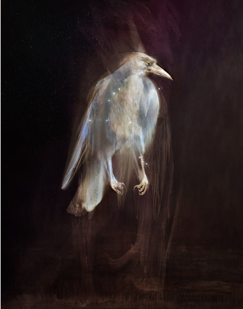 Lily returns to Altair, the brightest of Aquila's stars, wearing the body of a crow.