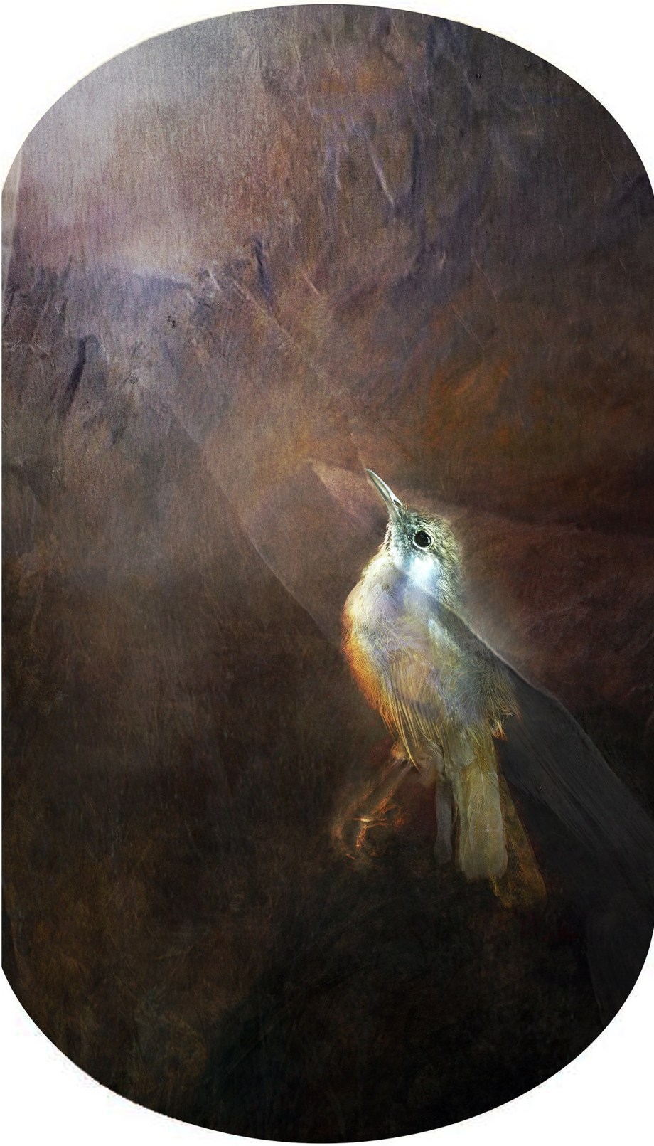 When death came for Freddie, he kept his eyes on the light, as his Grandmother told him- and the light recognised him from his gaze.