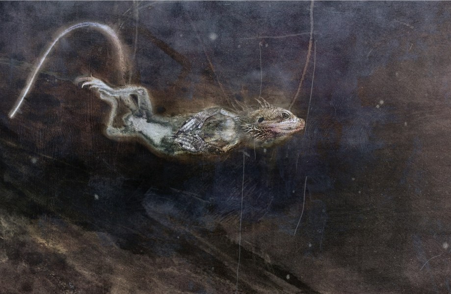 Gerard becoming stars, in the sky over Henbury crater field- where falling stars once became lizards.