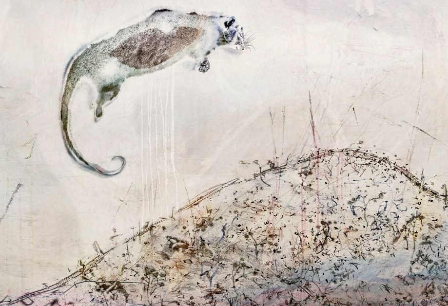 After everything - rain and road, the uncertain drift over Mt Cooroora, Matilda opened her eyes and discovered she was strong.