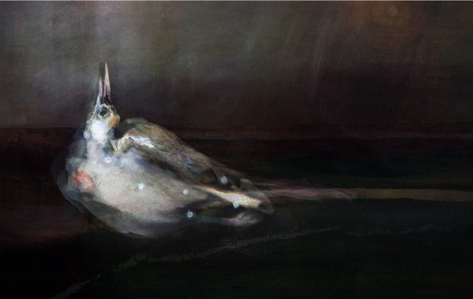 When Richard was ready, magpies sang at his hospital window until he remembered wings.