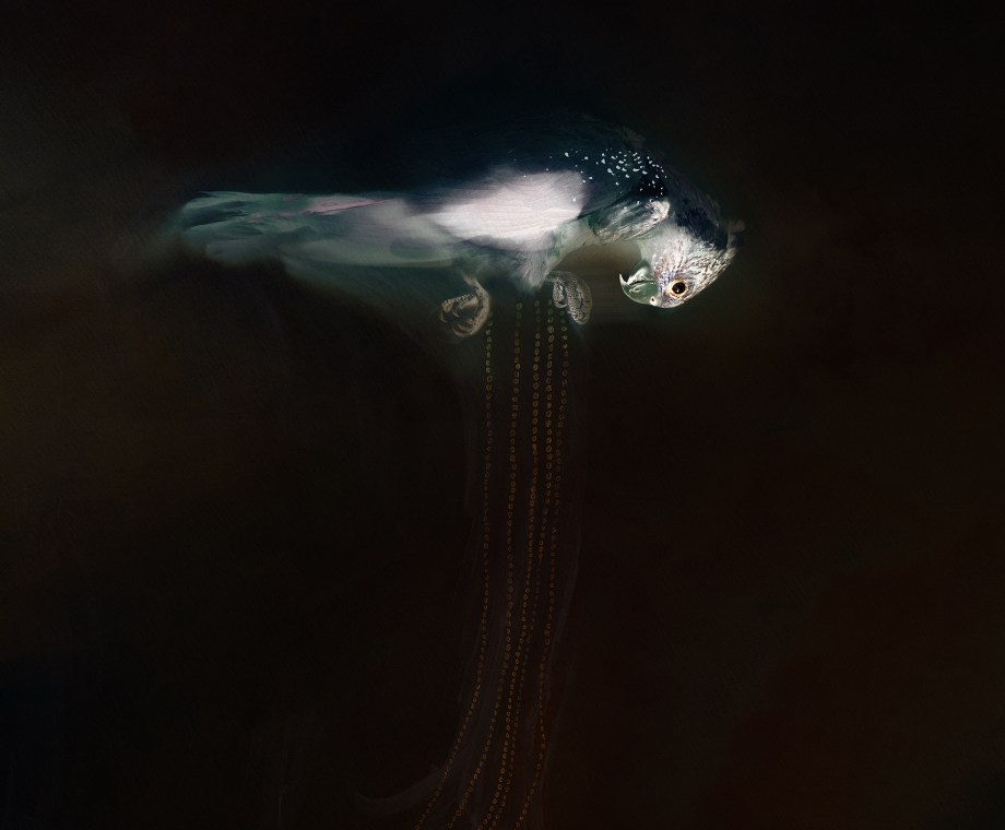 Ruth remembered the lit highway, then dark (title incomplete)